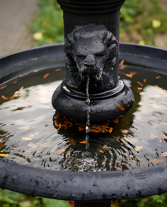 A garden water fountain featuring a lion