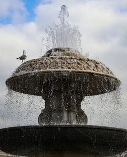 Cascading garden water fountain with sitting bird