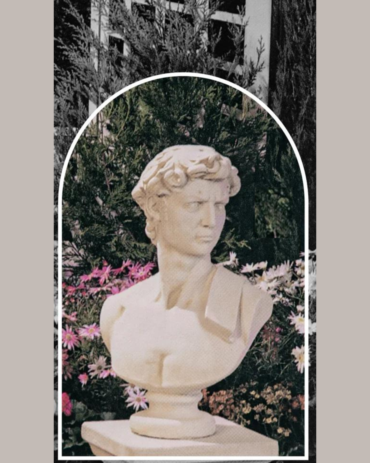 Bust of David - Concrete Limestone Cement Garden Statue