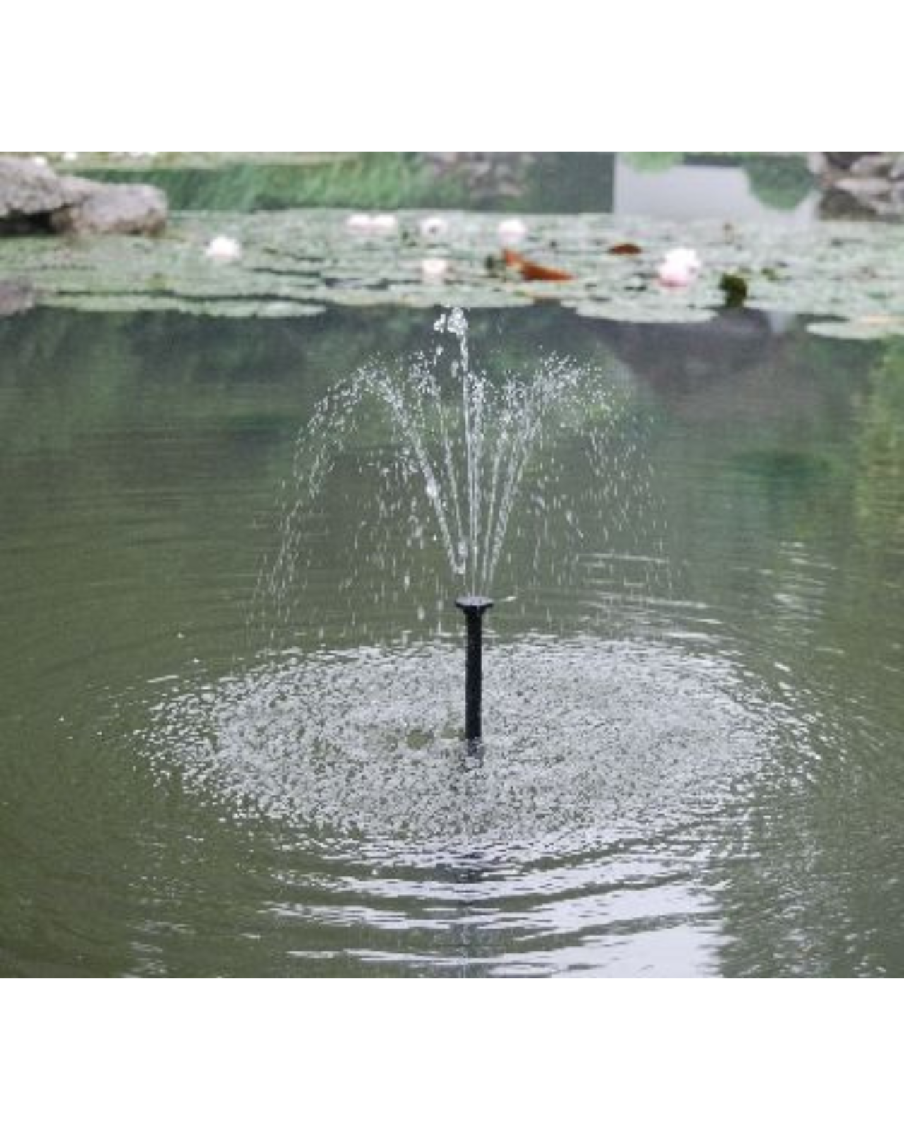 RSF175 Solar Fountain Pump 